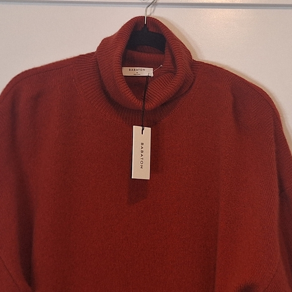 Aritzia Babaton Cashmere 100% Turtleneck Sweater Oversized Burnt Orange Medium - Picture 3 of 12